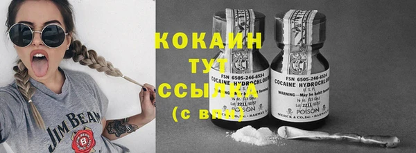 дживик Осинники