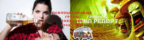 каннабис Белокуриха