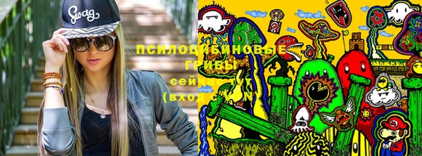 каннабис Белокуриха