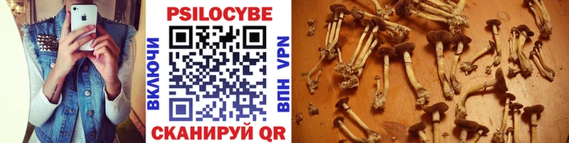 Галлюциногенные грибы MAGIC MUSHROOMS Вуктыл