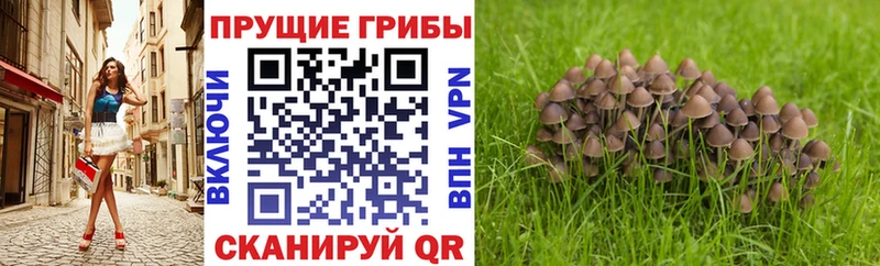 Галлюциногенные грибы GOLDEN TEACHER  Вуктыл 